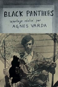 Poster van Black Panthers