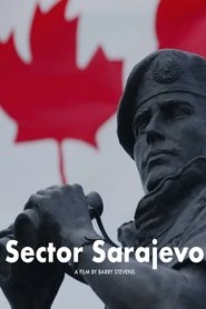 Poster Sector Sarajevo 2013