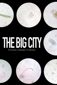 Poster The Big City 2017