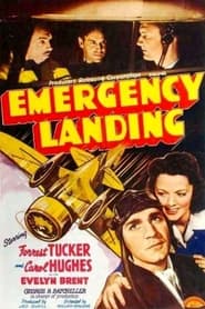 Poster Emergency Landing