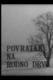 Poster Povratak na rodno drvo