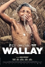 Poster for Wallay