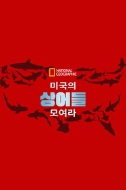 United Sharks of America (2015)