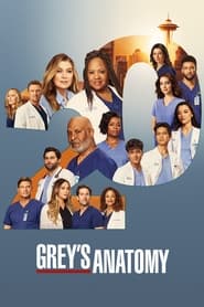 Poster Grey's Anatomy - Season 3 2024