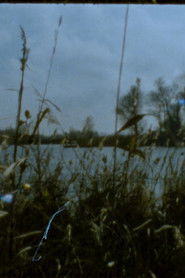 Landscape as Landscape - 24