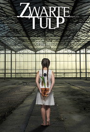 Black Tulip постер