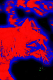 9 Lives Measured in Mercury