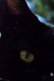 Poster In a Summer Garden 1982