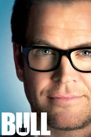 Bull Temporada 4 Capitulo 1