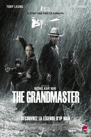 Film The Grandmaster en streaming