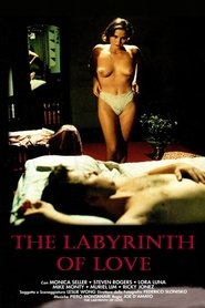 The Labyrinth of Love постер