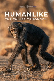 Humanlike - The Chimps of Fongoli