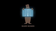 Logo for Baer Bones Logo for Baer Bones