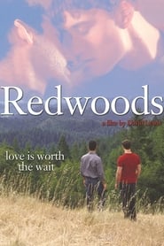 Redwoods постер