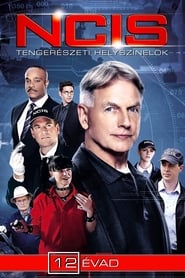 NCIS – Tengerészeti Helyszínelők: Évad 12