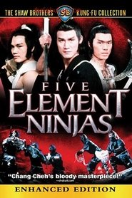 Five Element Ninjas постер