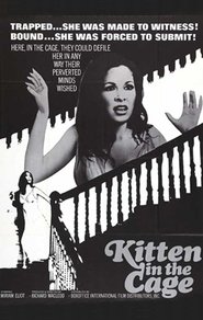 Poster Kitten in a Cage 1968