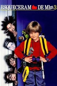 Sozinho em Casa 3 movie poster player