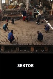 Poster Sector 2015