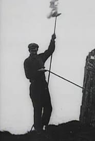 فيلم St. Kilda, Its People and Birds 1908 مترجم أون لاين بجودة عالية