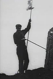 Poster St. Kilda, Its People and Birds 1908