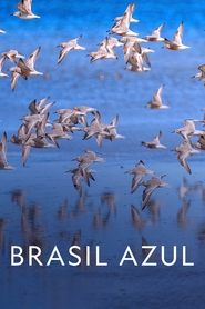 Poster Brasil Azul