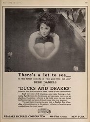 Poster Ducks and Drakes