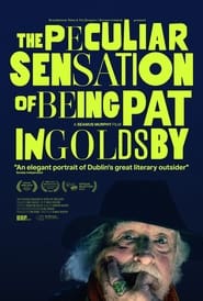 Poster The Peculiar Sensation of Being Pat Ingoldsby