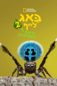A Real Bug's Life Season 2 24