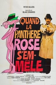 Film streaming | Voir Le retour de la Panthère Rose en streaming | HD-serie