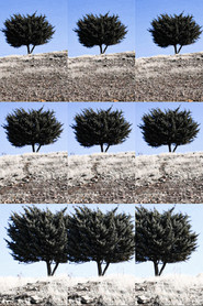 Where is the Final Destination? (2025)