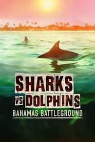 Sharks vs. Dolphins: Bahamas Battleground streaming