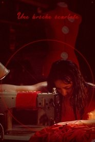 Une brèche écarlate (2025)