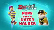 Sea Patrol: Pups Save a Water Walker
