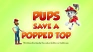 Pups Save a Popped Top