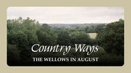 The Wellows in August