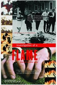 Poster Investigation of a Flame 2002