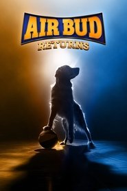 Air Bud Returns (1970)