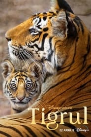 Tigrul (2024)