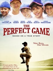 watch The Perfect Game now