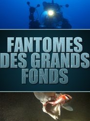 Fantômes des grands fonds – Requins des profondeurs en Streaming Regarder Fantômes des grands fonds – Requins des profondeurs en Streaming HD