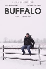 Poster Buffalo