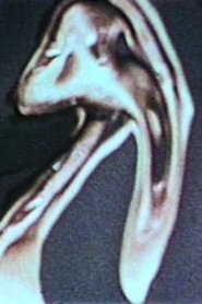 Poster Thru the Looking Glass - A Fantasy 1953