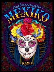 Poster Kamu v Mexiku 2018