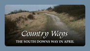 The South Downs Way in April