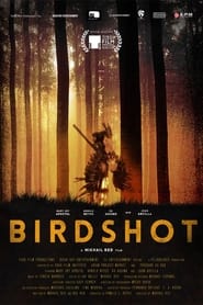 Birdshot постер