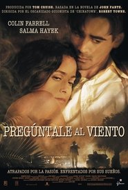 Pregúntale al viento