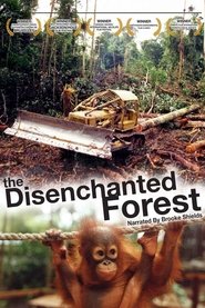 Disenchanted Forest 2002 Ukufinyelela kwamahhala okungenamkhawulo