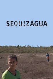 Poster Sequizágua 2020