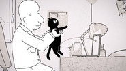 Cat vs. Video Call
